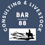 Bar88 Consulting